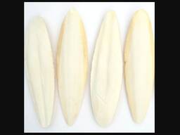 2023 Hot Sale Cuttlefish Bones Dried cuttlefish bone Cuttle fish bone