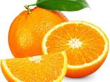 Апельсин - photo 1
