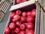Apples from Poland - photo 7