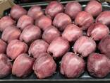 Best apples from Poland wholesale - фото 3