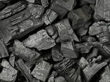 Charcoal - photo 1