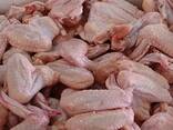 Chicken wings - фото 1