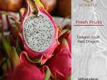 Fresh Dragon Fruit from Vietnam - фото 1