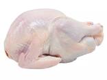 Fresh Frozen Chicken Frozen Chicken Middle 3 Joint Wing at Best Price - фото 1