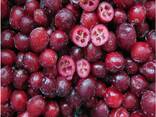 Frozen berries, fruits, berry-fruit and compote mixes. - фото 6