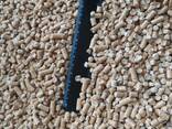 Гранулы древесные топливные пеллеты светлые 6 мм сосна экспорт FCA-Шклов, Беларусь