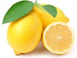 Лимоны ОПТОМ из Турции - фото 1