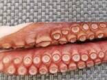 Мороженные морепродукты и рыба в Израиль от завода из Китая - фото 8