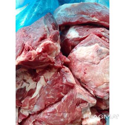 Top Grade A Halal Frozen Beef trimmings / Halal Goats Meat / Frozen Buffalo Meat / Frozen