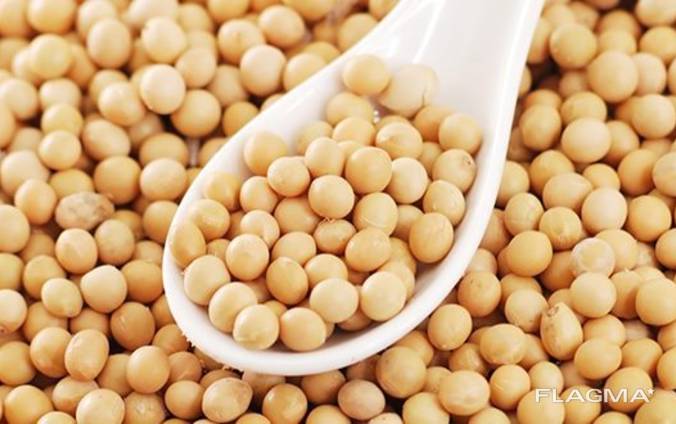 We are offering chickpeas, whole peas, sunflower seeds for confectioeners, split peas