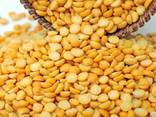 We are offering chickpeas, whole peas, sunflower seeds for confectioeners, split peas - photo 2